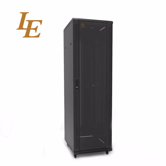 Le Floor Standing SPCC Vented Server Rack OEM 4u-48u 19 Inch Network Cabinet